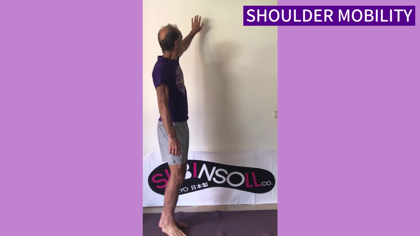 #119 SHOULDER MOBILITY